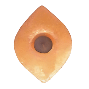 Himalayan Salt Leaf Candle Holder