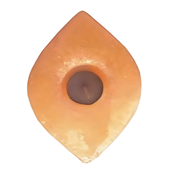 Himalayan Salt Leaf Candle Holder